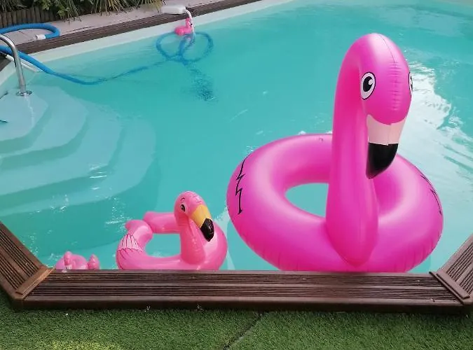 Maison Calme Avec Piscine Palmiers 300m De La Centre Tatil Evi